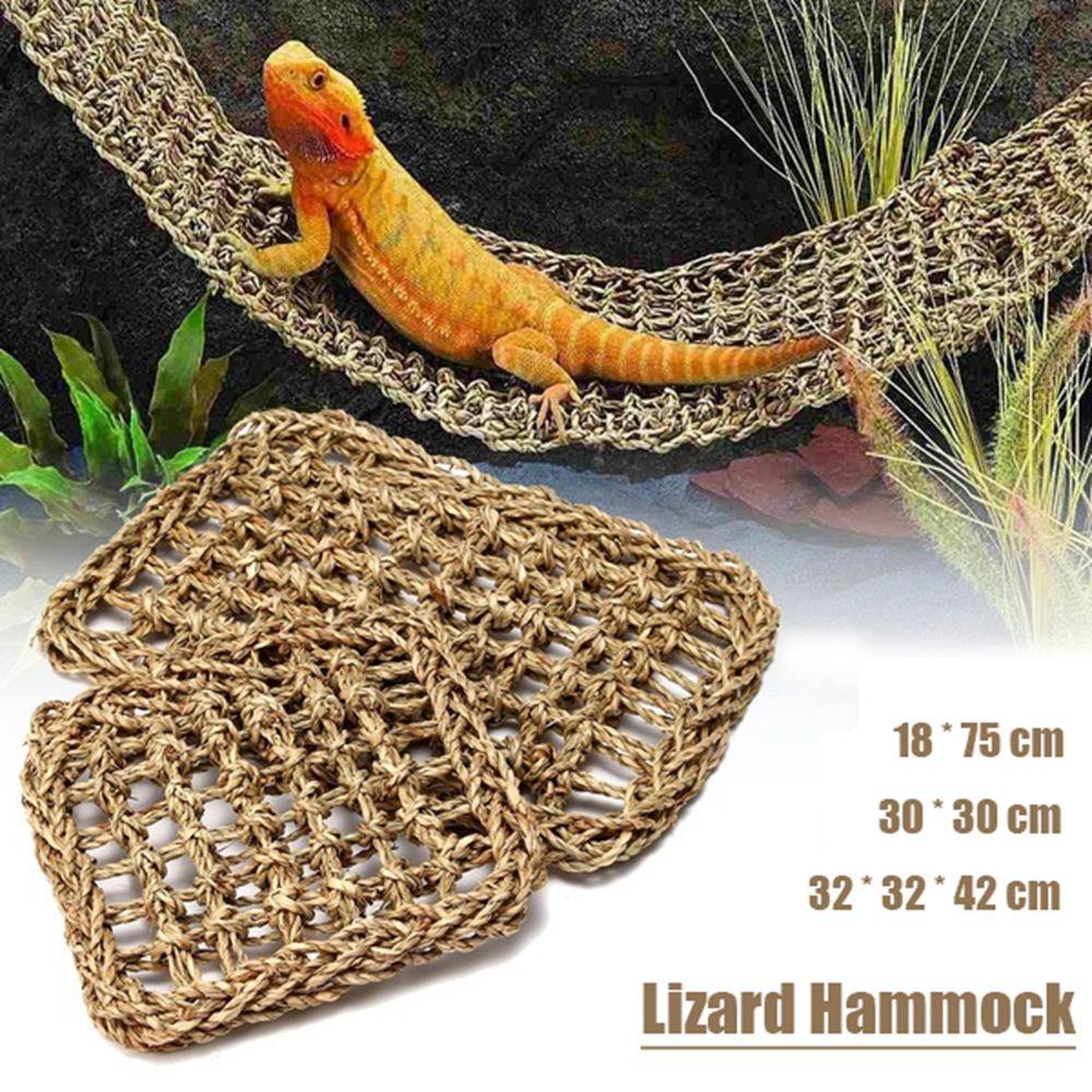 Võng Dệt Tự Nhiên Cho Thằn Lằn Bò Sát