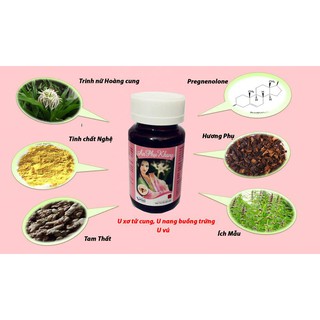 AN PHỤ KHANG