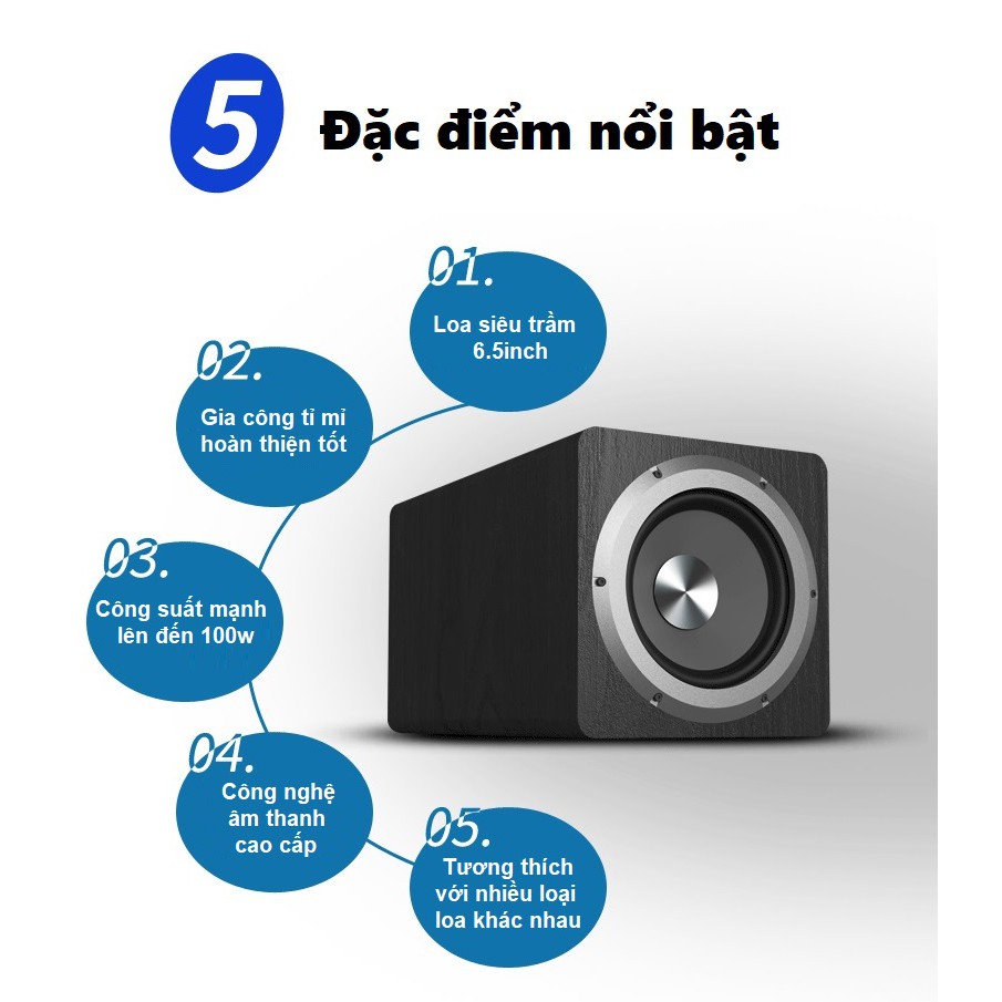 Loa siêu trầm subwoofer 100W Ibass - Loa sub điện công suất 100w