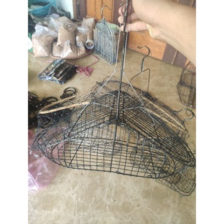 Lồng bẫy chào mào, khuyên bằng thép