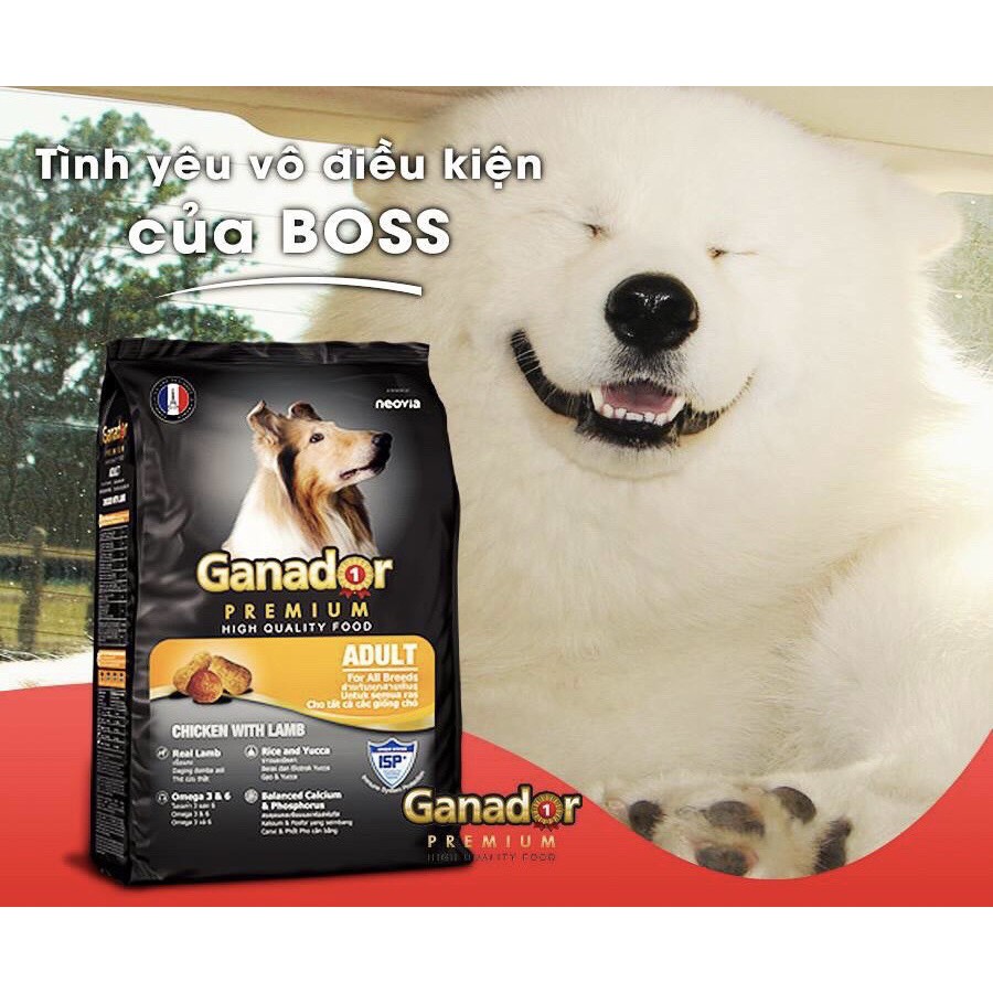 FREESHIP ĐƠN 50K_Thức ăn Ganador cho chó trưởng thành cao cấp 400g