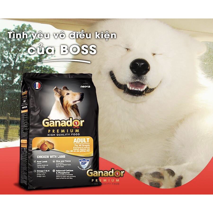 [ RẺ VÔ ĐỊCH ] Combo 5 bịch thức ăn Ganador cao cấp cho chó trưởng thành