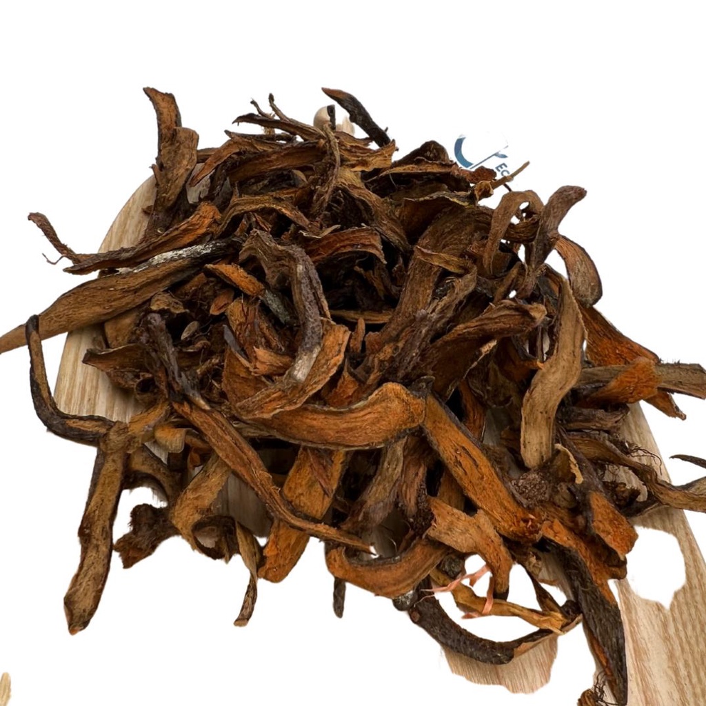 [ Hàng Loại 1 ]Cốt Toái Bổ Khô 1KG (Tắc Kè Đá) thần dược xương khớp