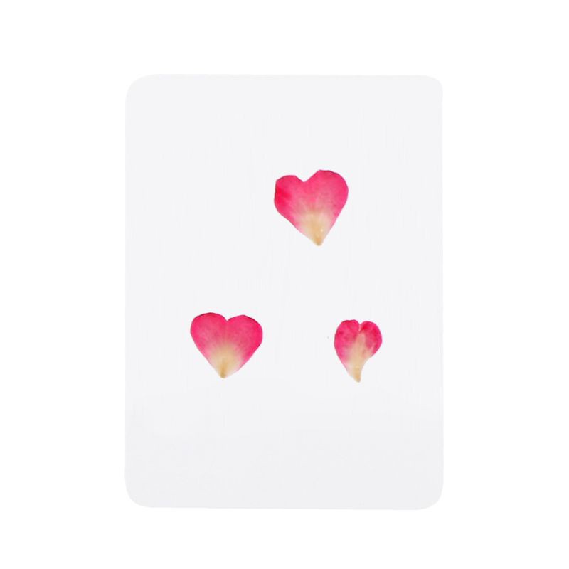 Hoa Lá Ép Khô Dùng Làm Trang Sức Epoxy Resin