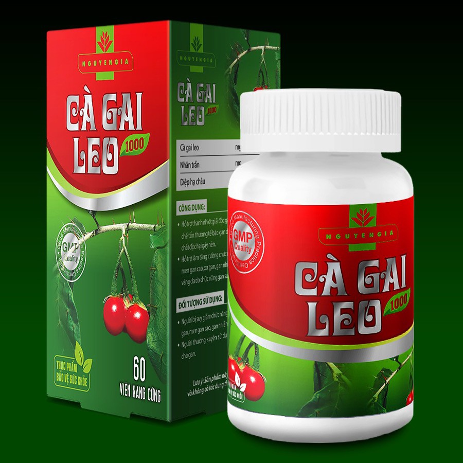 [CHÍNH HÃNG] Viên uống Cà Gai Leo bảo vệ gan , làm mát , giải độc , hạ men gan - HỘP 60 viên nang