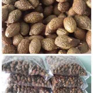 Sỉ 5kg hạt Đười ươi sẻ bay loại 1