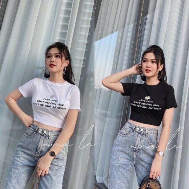 Áo croptop thun lụa thêu hoa cúc, áo thun ngắn tay tôn dáng - Colory Shop