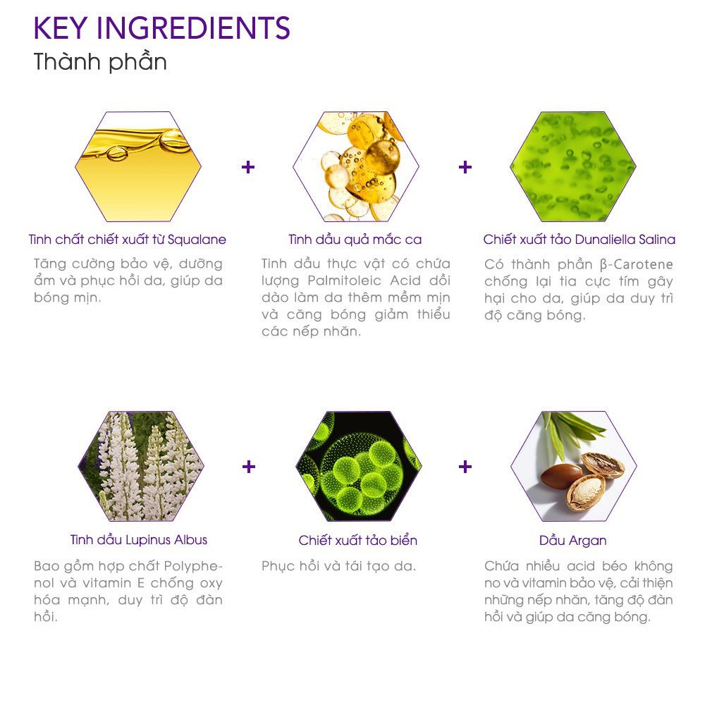 DR.WU SQUALANE Bộ Dưỡng Da Chống Lão Hóa, Phục Hồi và Săn Chắc Minisize (Toner, Serum, Lotion) | BigBuy360 - bigbuy360.vn