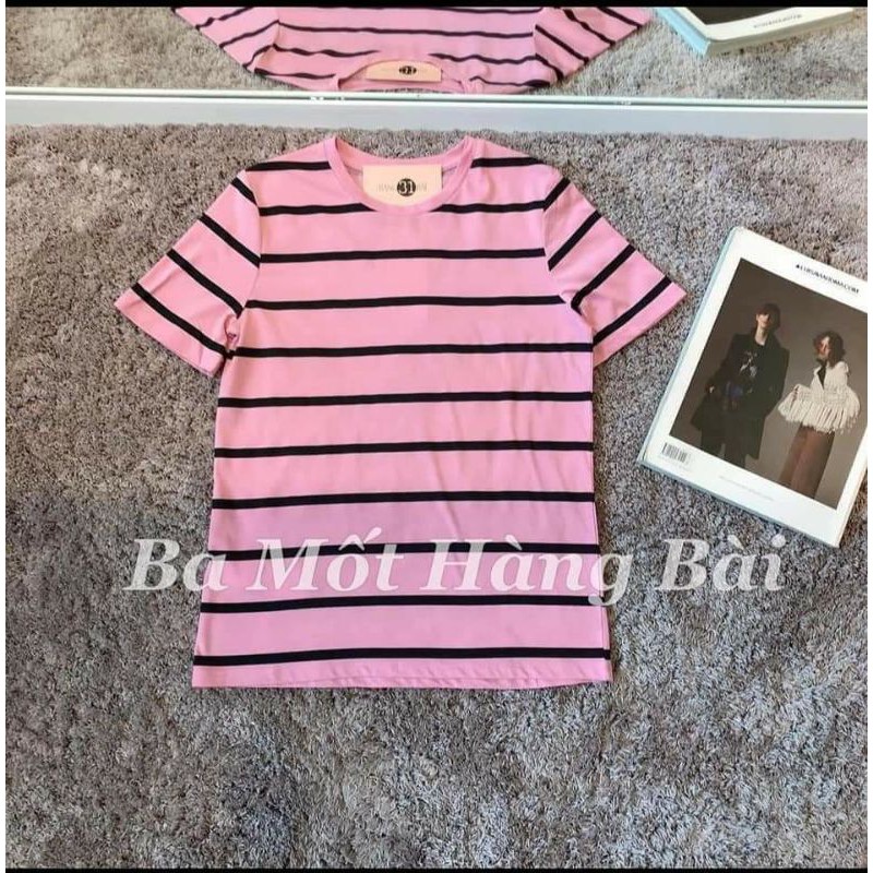 Áo phông kẻ mango auth
