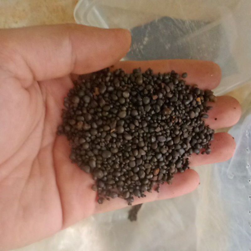 Sạn suối nâu hạt tròn (1kg) trải nền bể cá, thủy sinh, nền terrarium...