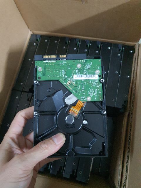 HDD 250G và 500G 3.5 WD hàng bóc máy Đồng Bộ hỗ trợ AE Ghost sẵn win | BigBuy360 - bigbuy360.vn
