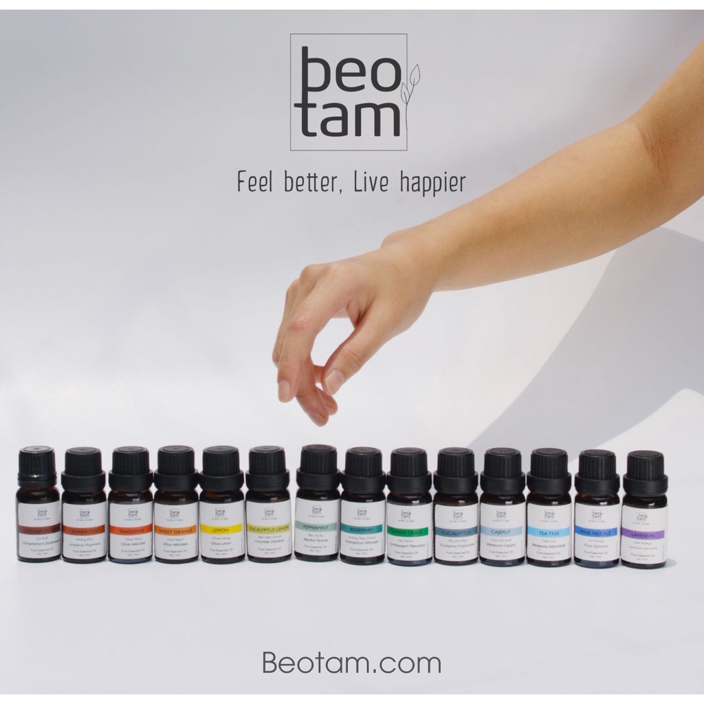 Tinh dầu Thông Bèo Tấm - Pine Essential Oil Nguyên chất nâng cao tâm trạng, cân bằng cảm xúc, kích thích các giác quan