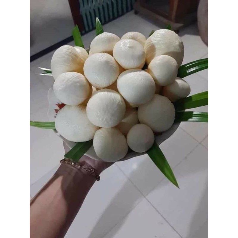MỘNG DỪA TƯƠI