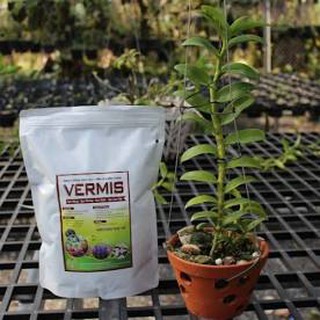 Phân trùn quế siêu tan chậm vermis pro gói 1kg