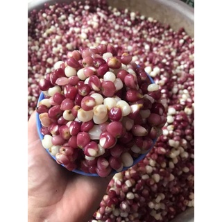 1kg Ngô nếp tím bung đặc sản Điện Biên