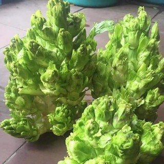 Hạt giống Cải Mần Đá