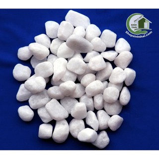 1kg đá sỏi màu trắng lớn - đá  trang trí trồng cây - trang trí bể cá - sân vườn