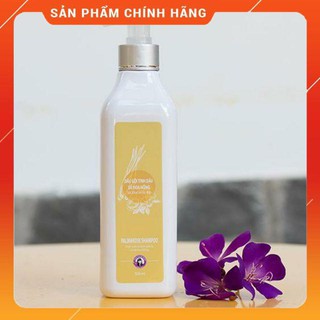 Dầu gội xả hoa hồng trần mao