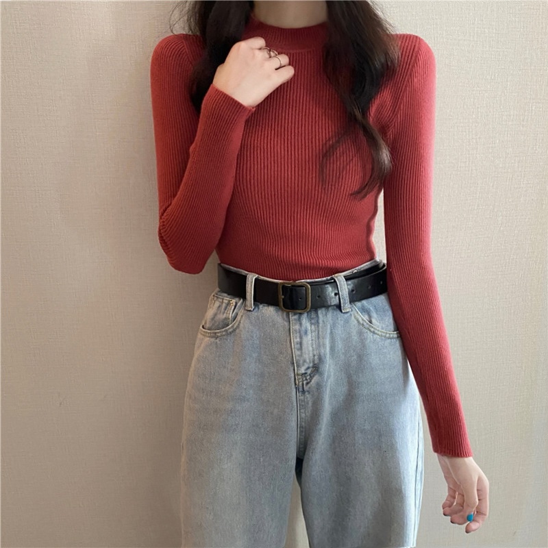 Áo Len Tay Dài Cổ Lọ Thời Trang Thu Đông 16 Màu Lựa Chọn Cho Nữ