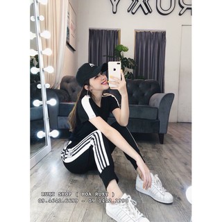 Set TT Das Logo siêu đẹp