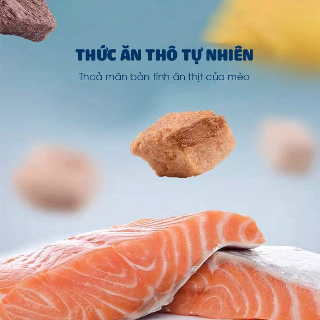 Hạt thức ăn cho mèo DOCILE 4 món thịt tươi và rau củ