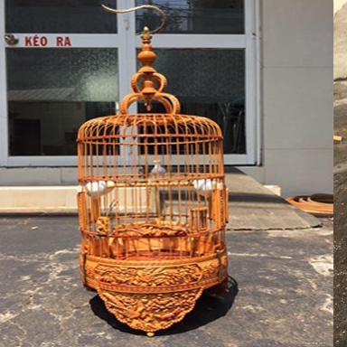 [Mã PET50K giảm Giảm 10% - Tối đa 50K đơn từ 250K] Phụ kiện lồng chim Minibica Dầu quét lồng chim giá siêu hấp dẫn PK12