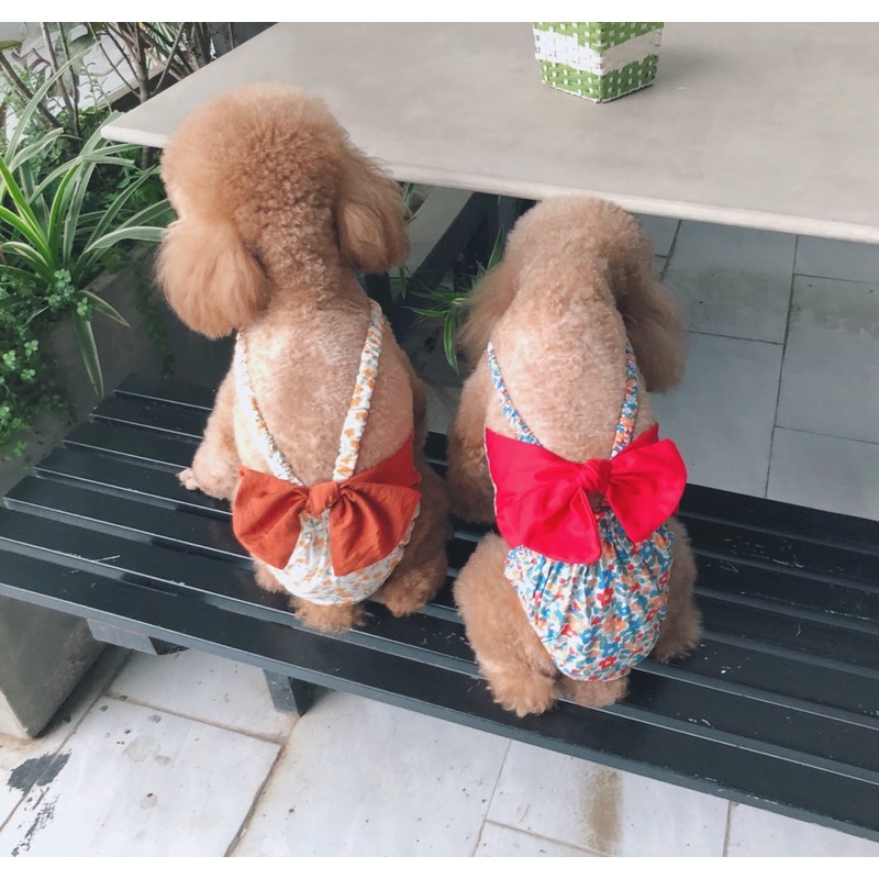 Bikini hoa nhí phối bản nơ to cho chó mèo/Quần sinh lý cún cái cao cấp