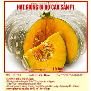 Hạt giống bí đỏ cao sản