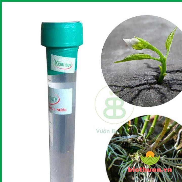thuốc kích mầm, kích chồi keiki duy DẠNG PHUN SPRAY
