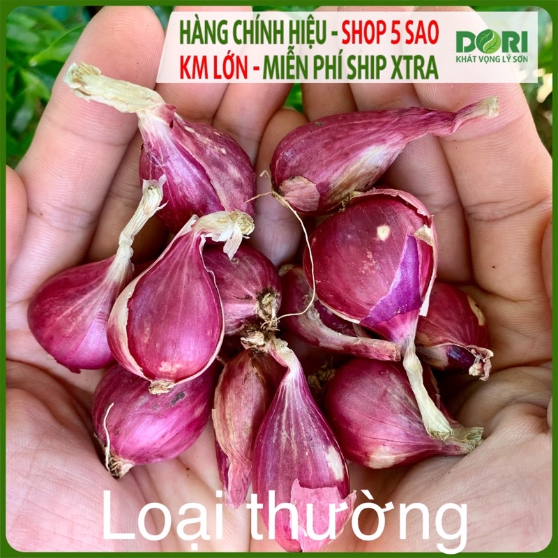 Hành tím Lý Sơn Dori - Túi lưới 1kg - Trồng tại đảo Lý Sơn - Cam kết đúng xuất xứ