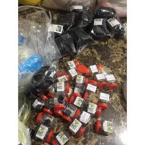 10 hộp Keo bẫy chim
