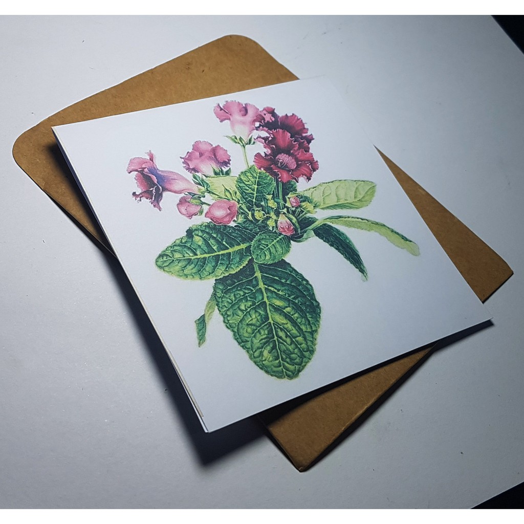 Thiệp phong cách Vintage card quà cám ơn ,chúc mừng sinh nhật và giử t
