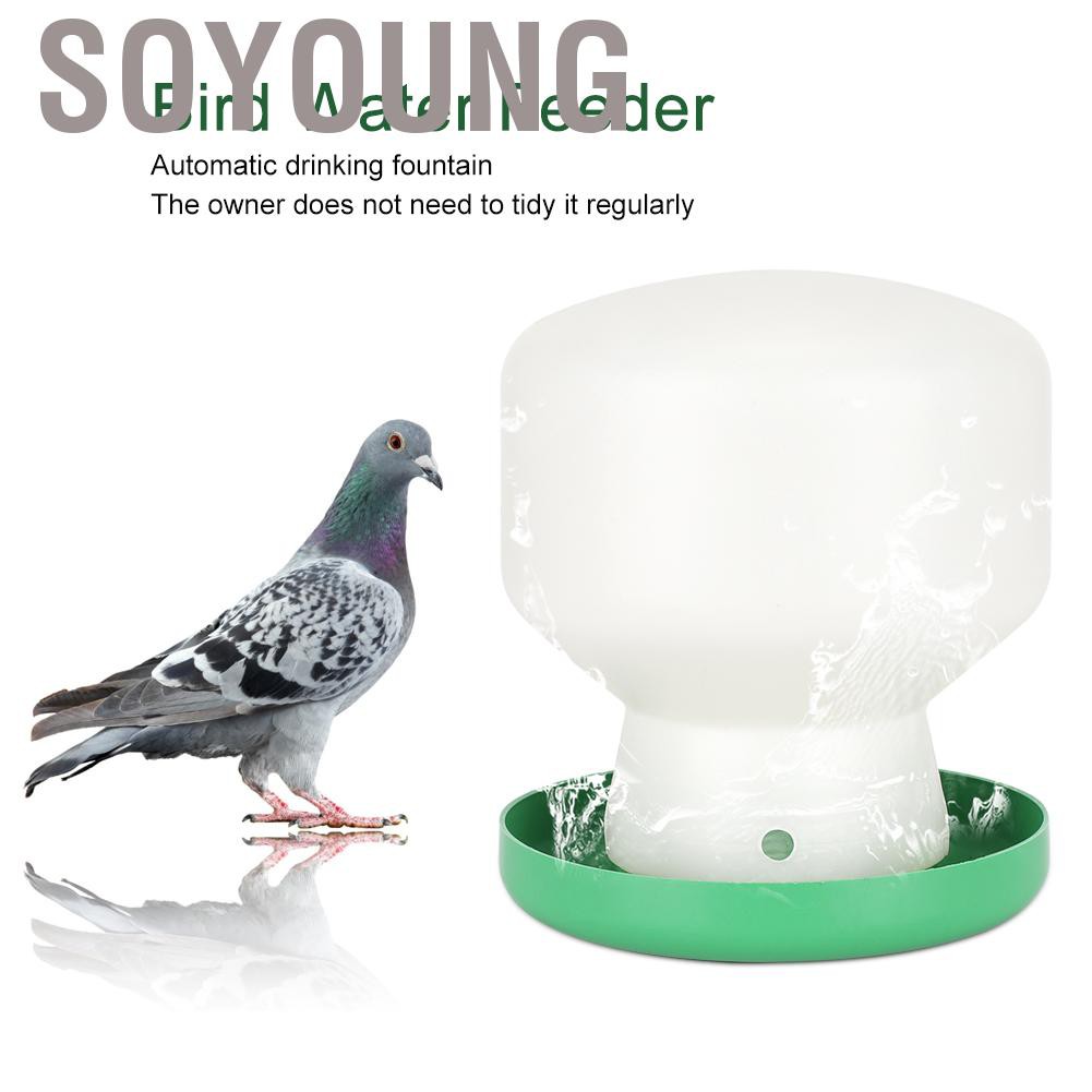 Bình đựng nước uống tự động bằng nhựa kích thước lớn cho chim
