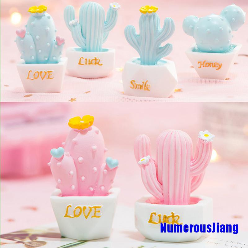 Set 10 Cây Xương Rồng Mini Dễ Thương Trang Trí