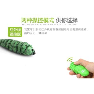 Lễ Tết Quê Hương - Con Sâu Kì Lạ