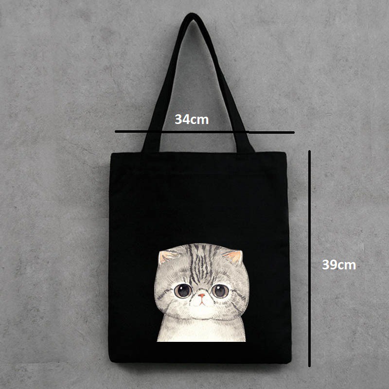 Túi tote vải mềm vải canvas thời trang ulzzang đi chơi đi học giá rẻ TT1