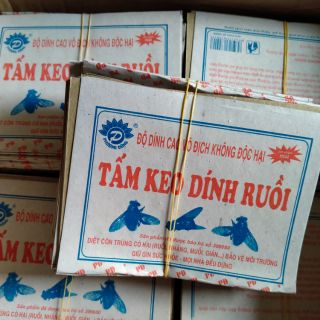 50 tấm Keo dính ruồi siêu dính