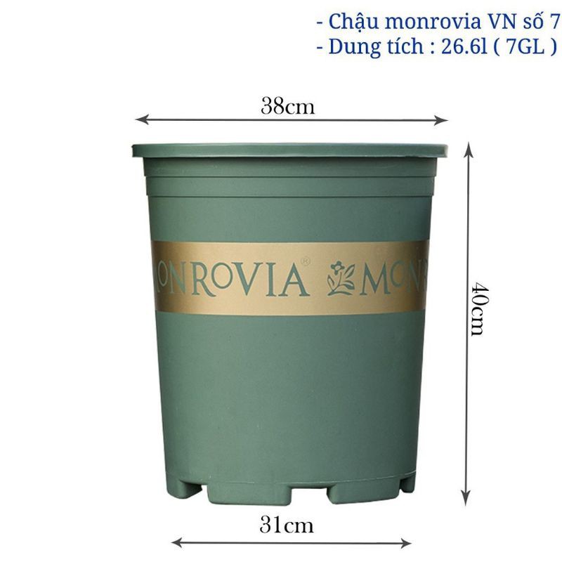 Chậu nhựa trồng hoa monrovia 7 galon VN_Chậu mon 7gal loại 1 hàng cty VN