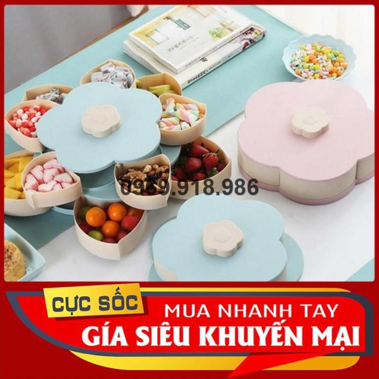 🍦 Hộp Đựng Bánh Kẹo Mứt Tết Xoay Tròn Nở Hoa 5 Cánh 1 Tầng Đẹp Cao Cấp Giá Gốc Sỉ Rẻ 🍏 Tổng Kho Gia Dụng An Giang 🍏