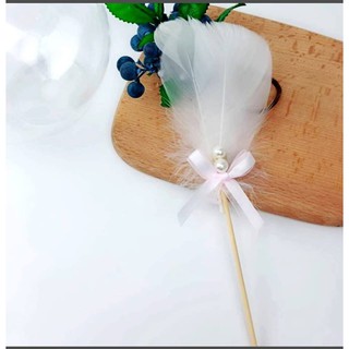 Lông vũ (Phụ kiện trang trí sinh nhật)