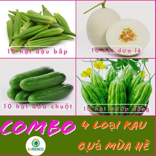 COMBO 4 loại hạt giống rau quả mùa hè: đậu bắp, dưa lê, dưa chuột, mướp đắng