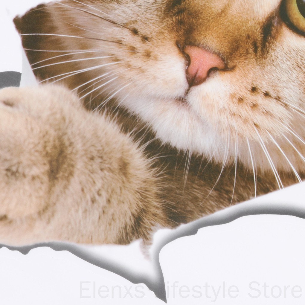 Nhãn dán hình mèo 3D trang trí dễ thương cho toilet 21x29cm