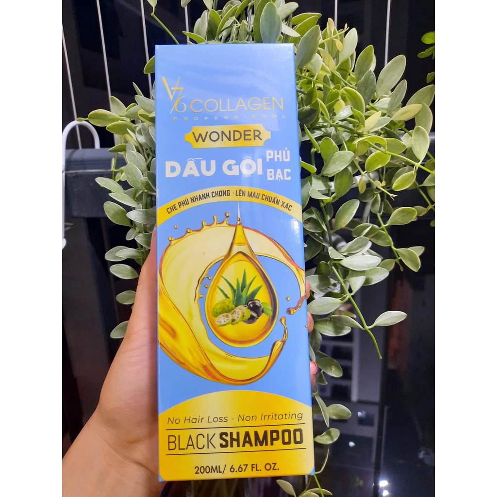 Dầu gội phủ bạc nhân sâm tự nhiên chính hãng V76, Gội đen tóc chỉ sau 15p - Chai 200ml