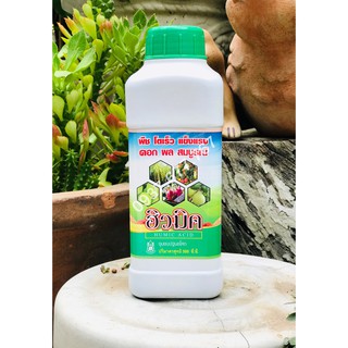 Humic Acid hợp chất hữu cơ dạng nước hiệu quả hấp thụ chất dinh dưỡng chai 500ml