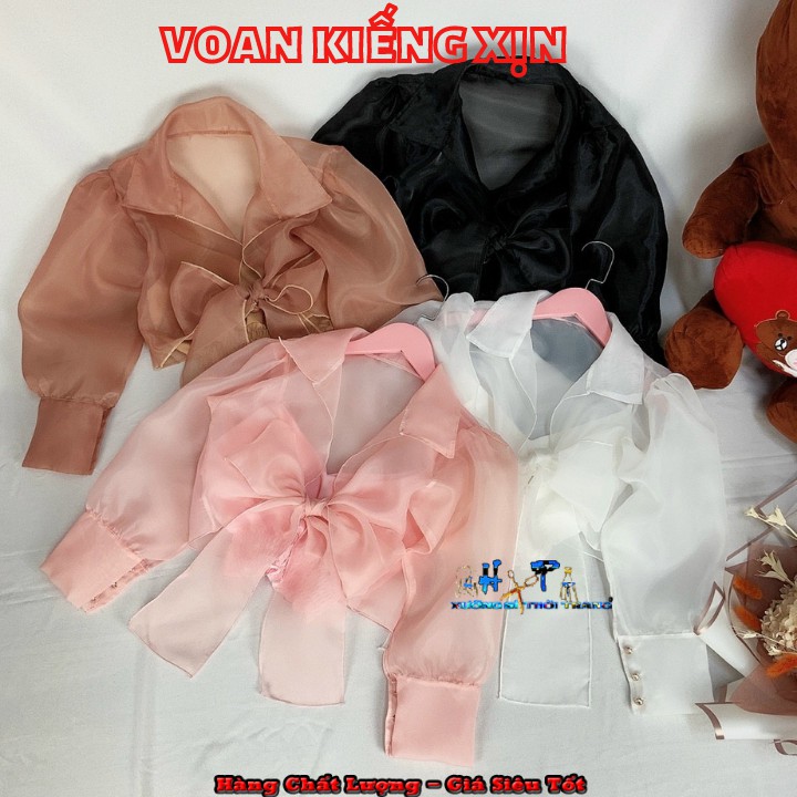 Set áo kiểu voan kiếng siêu xinh thắt nơ mẫu mới thời trang 2020-A20