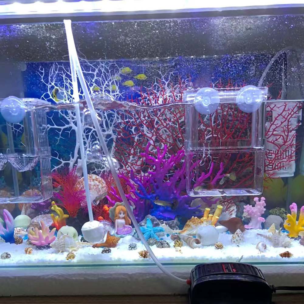 San hô giả trang trí bể cá nhiều màu đẹp mắt chất lượng