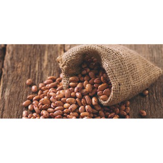 [HÀNG CHÍNH HÃNG] Đậu Cúc Pinto Argentina 500gr