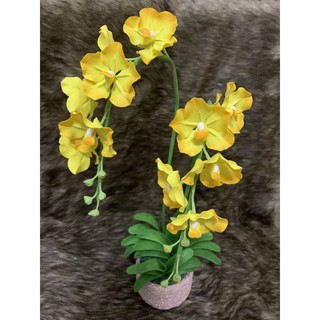 Chậu hoa Lan Vanda đất sét màu tím size trung