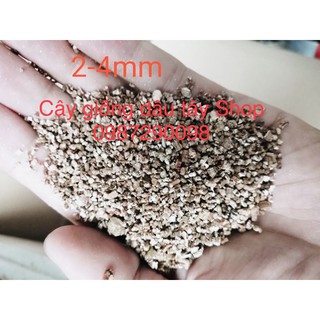 Đá Vermiculite (Vơ mi) dùng giâm cành SEN ĐÁ, HOA HỒNG, XƯƠNG RỒNG, ươm mầm hạt giống, trồng rau mầm
