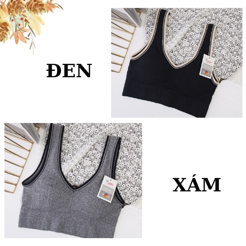 Áo bra tập gym thể thao, Áo ngực mút mỏng chất cotton co dãn SAVILL B2.0